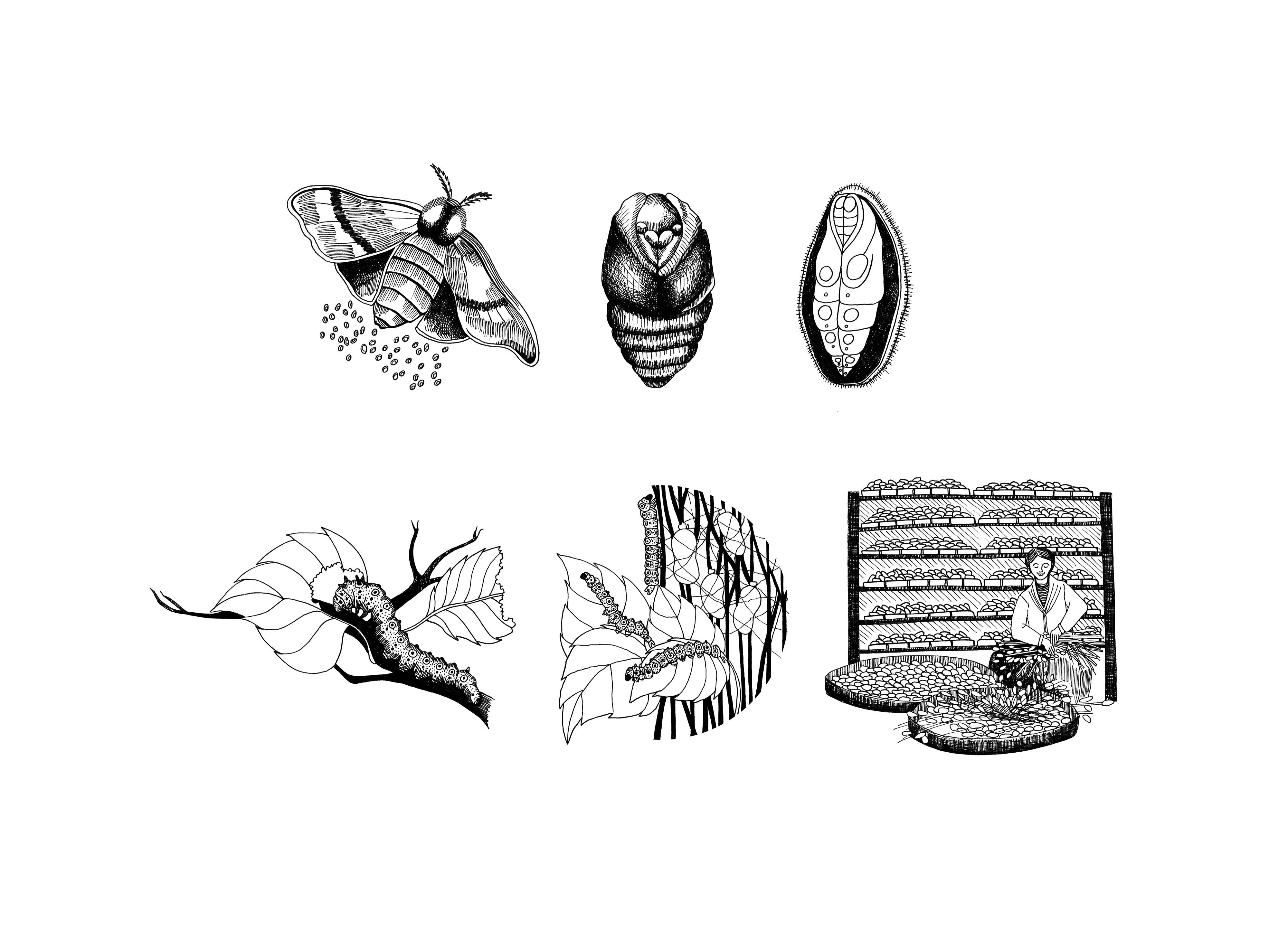 Ch&acirc;teau de Fontar&egrave;ches